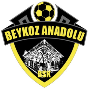 Beykoz Anadolu Spor