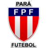 Brazil Campeonato Paraense Division 1 logo