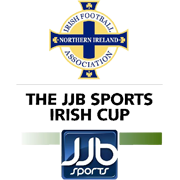 Northern Ireland Cup logo